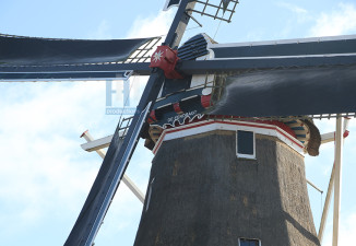 Friesland