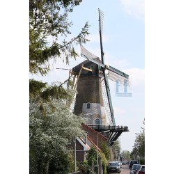 's-Gravendeel - 't Vliegend Hert 01