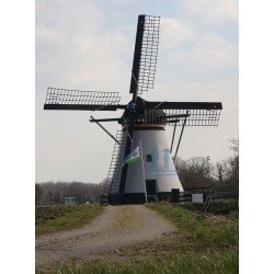 Alblasserdam - Souburghse Molen 01