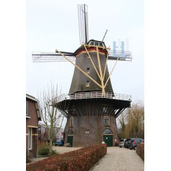 Arkel - Jan van Arkel 02