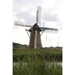 Barendrecht - Pendrechtse Molen 03