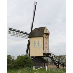 Batenburg - Standerdmolen 02