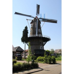 Beneden-Leeuwen - De Wielewaal 02