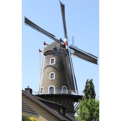 Beneden-Leeuwen - De Wielewaal 01