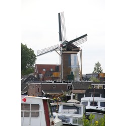 Bodegraven - De Arkduif 03