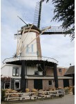 Bodegraven - De Arkduif 01