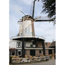 Bodegraven - De Arkduif 01