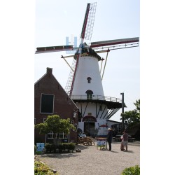 Burg-Haamstede - De Graanhalm 03