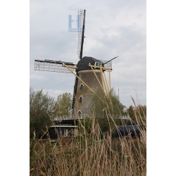 Colijnsplaat - De Nieuwe Molen 03