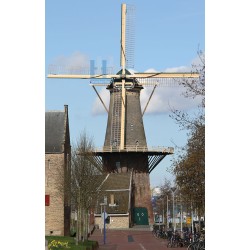 Delft - De Roos 01