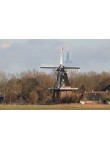 Den Andel - De Jonge Hendrik 02