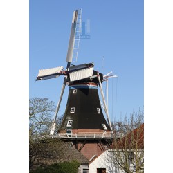Den Andel - De Jonge Hendrik 01