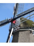 Dokkum - Zeldenrust 02
