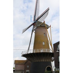 Etten-Leur - De Lelie 01