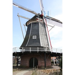 Haaksbergen - De Korenbloem 02