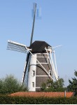 Laar - Sint Antoniusmolen 01