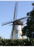 Laar - Sint Antoniusmolen 02