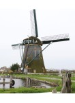 Lisse - De Lisserpoelmolen 01