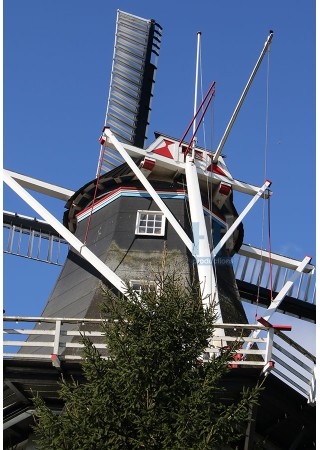 Noorderhoogerbrug - De Wilhelmina 02