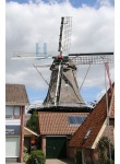 Ommen - De Lelie 03