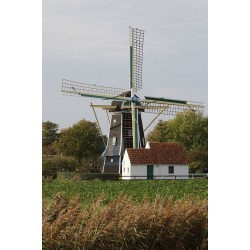 Aagtekerke - Aagtekerkse Molen 02