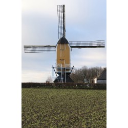 Beek - Sint Hubertusmolen 02