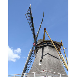 Dalfsen - Westermolen 03