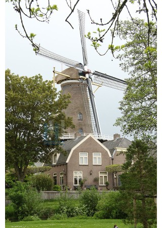 Culemborg - De Hoop 01