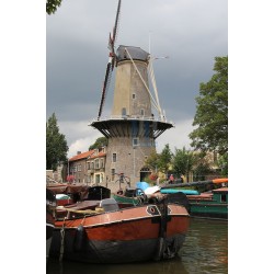 Gouda - De Roode Leeuw 01