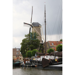 Gouda - De Roode Leeuw 02