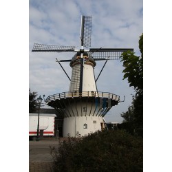 Benthuizen - Molen De Haas 01