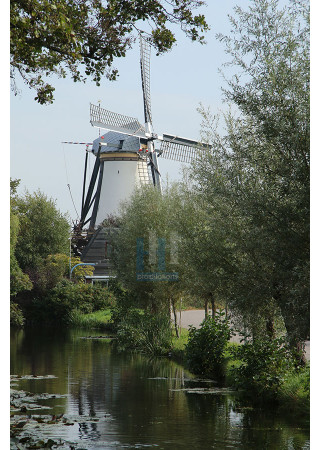 Benthuizen - Molen De Haas 02