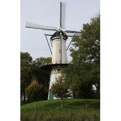 Tholen - Korenmolen De Hoop 02