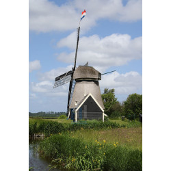 Alkmaar - Robonsbosmolen 01