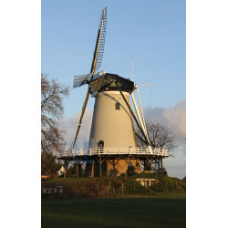 Soest - De Windhond 01