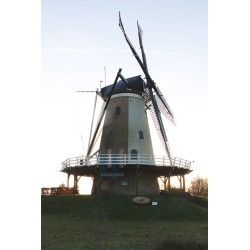 Soest - De Windhond 02